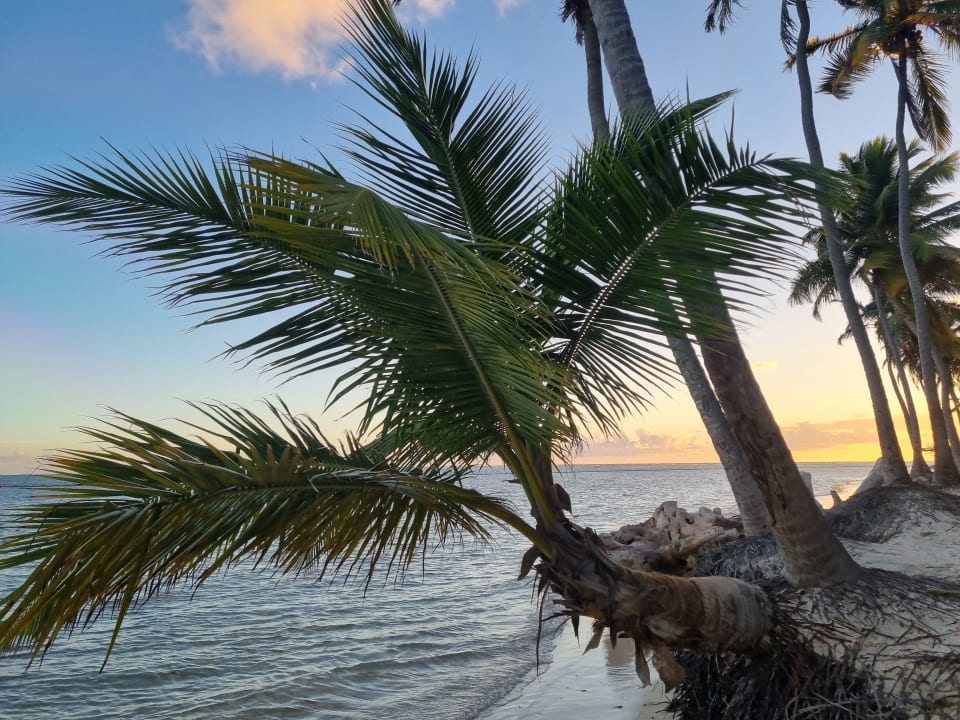 Strand Catalonia Punta Cana - All Inclusive