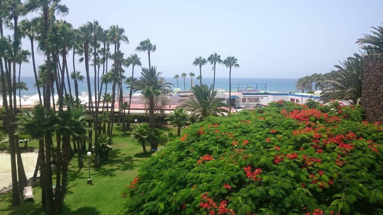 Vom Dach Hotel Riu Palace Oasis