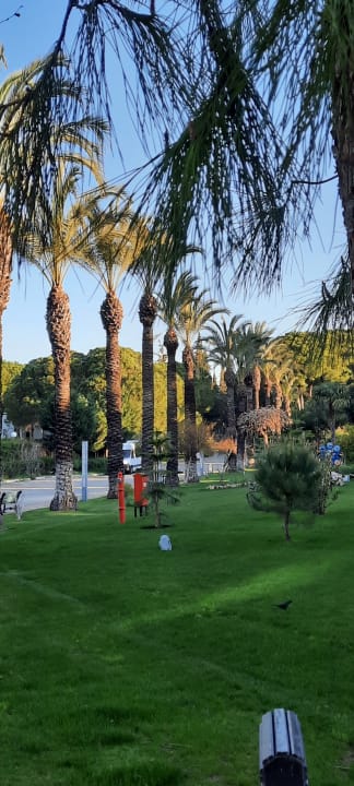 Gartenanlage Papillon Ayscha