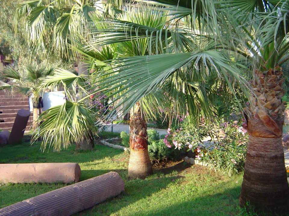Gartenbereich MC Mahberi Beach Hotel