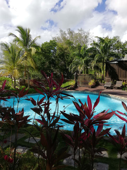 Pool Cocos Hotel Antigua - Adults Only