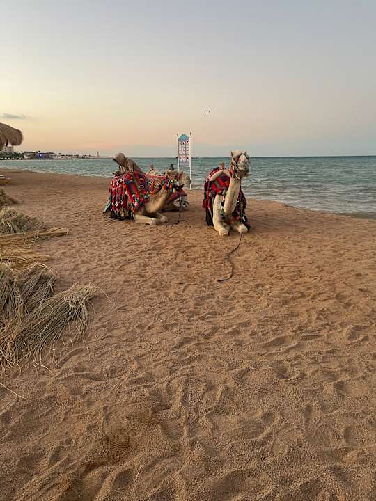 Strand Rewaya Majestic Resort