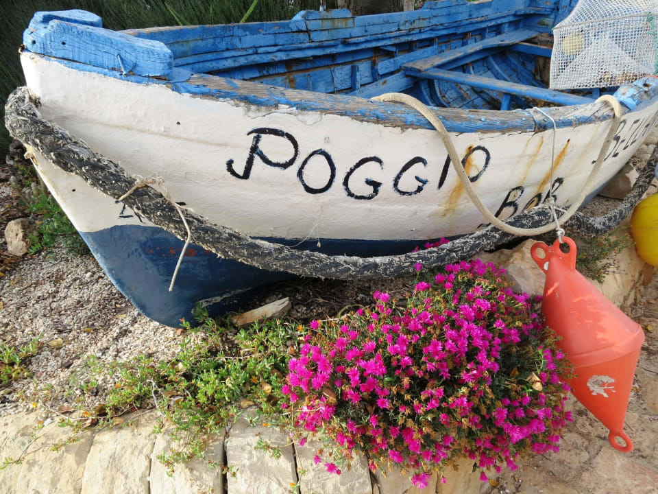 Garten Bed & Breakfast Poggio Bellavista