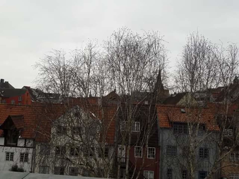 Ausblick Hotel Hafen Flensburg