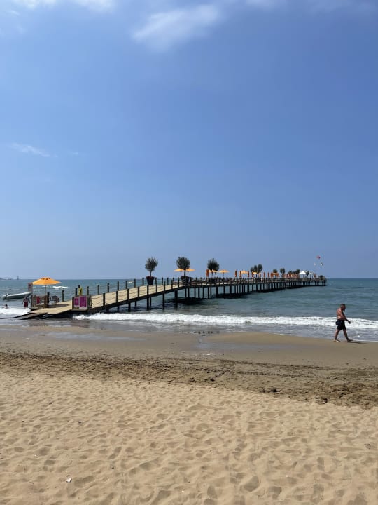Strand Arum Barut Collection