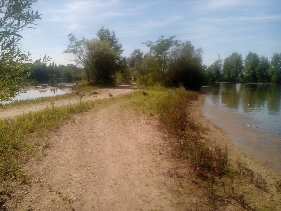 See am Campingplatz, Blaue Adria in Altrip Campingplatz Blaue Adria