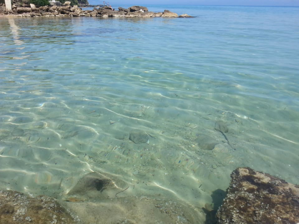 Piękna woda i świat podwodny AluaSoul Zakynthos - Adults only