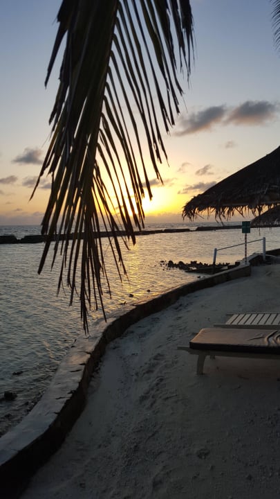 Sonnenuntergang Ellaidhoo Maldives by Cinnamon