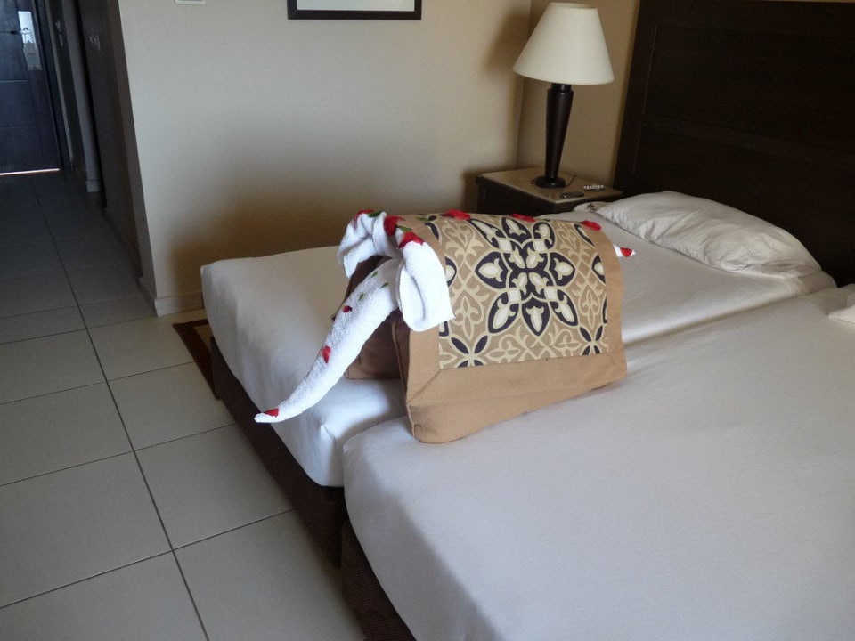 Magnifique éléphant Jaz Dar EL Madina