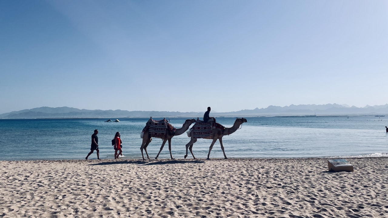 Strand ROBINSON SOMA BAY