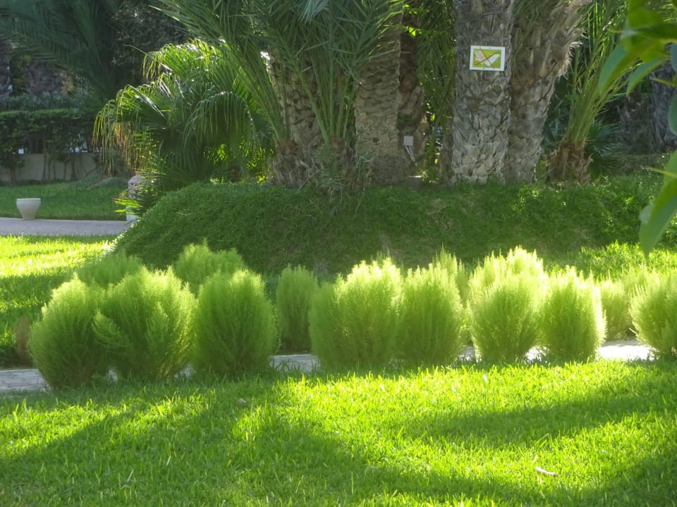 Hotel Vincci Djerba Resort Hotel Djerba Resort