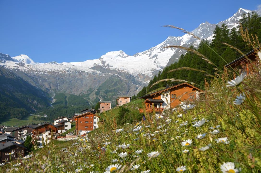 Panorama Ferienwohnung Astor