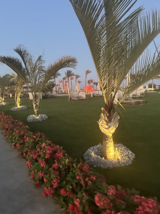 Gartenanlage Steigenberger Resort Alaya Marsa Alam - Red Sea - Adults only