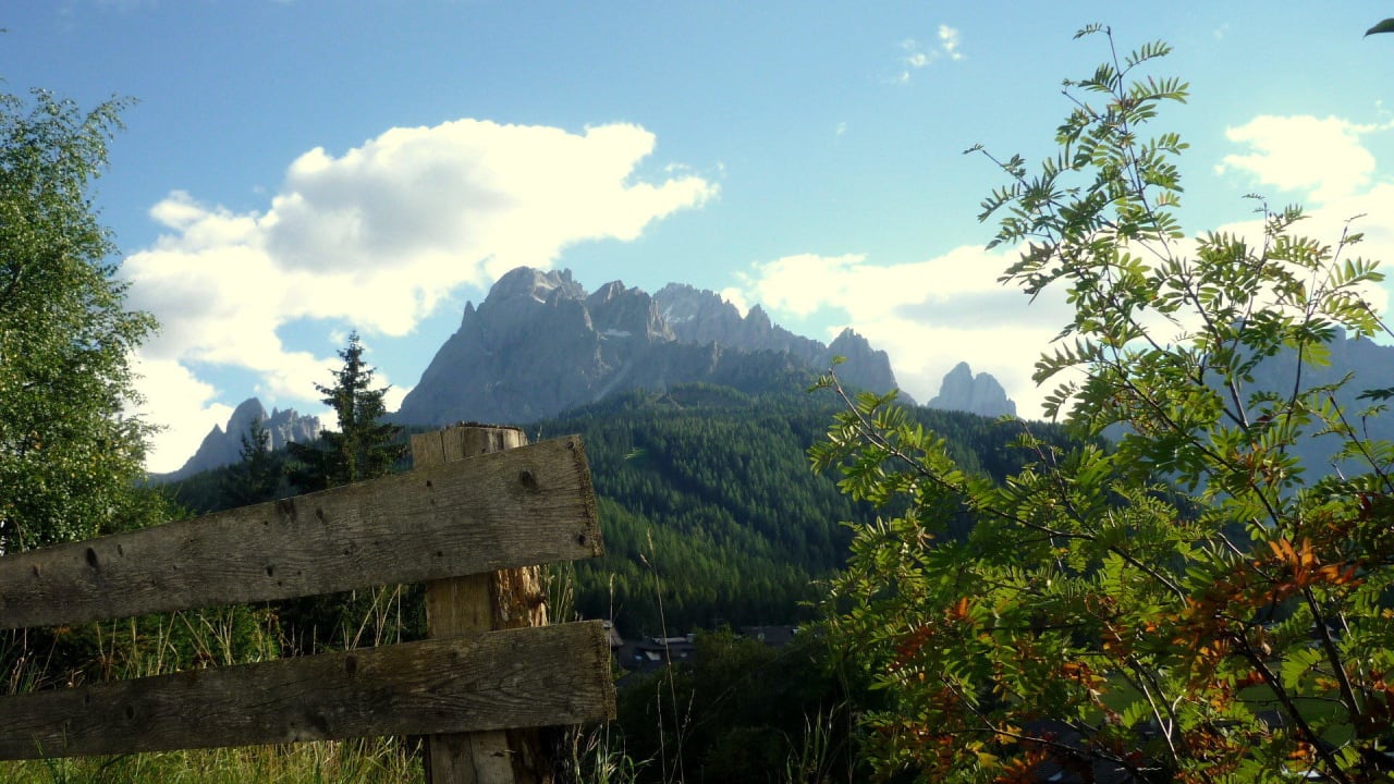 Am Hotel Biovita Hotel Alpi