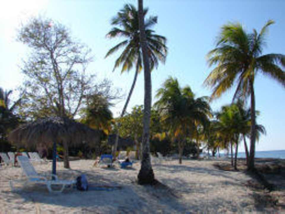 Guardalavaca Hotel Brisas Brisas Guardalavaca Hotel & Villas