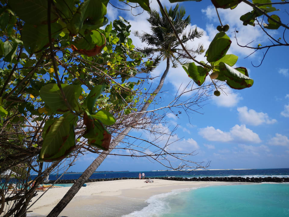 Ausblick Embudu Village