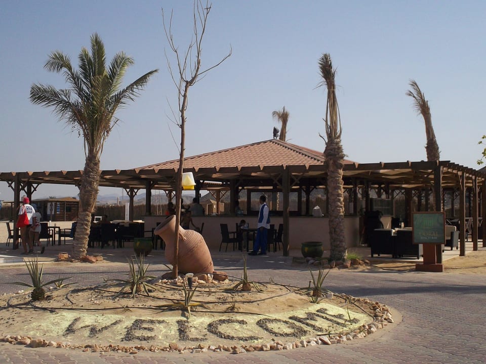 Bar na plaży Hilton Marsa Alam Nubian Resort