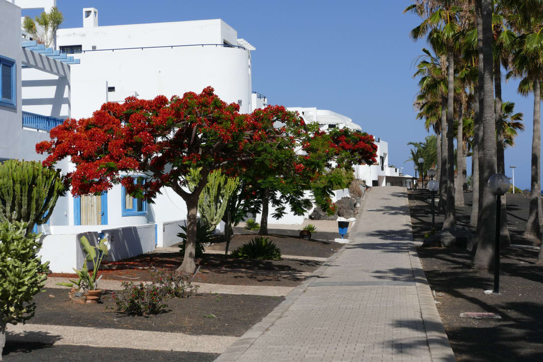 Außenansicht Aparthotel Costa Mar