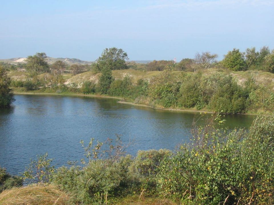 Naturschutzgebiet Ferienpark Landal Duinpark't Hof van Haamstede