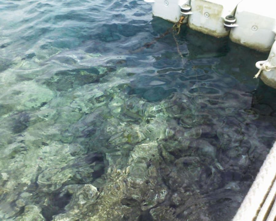 Barriera corallina Sultan Gardens Resort