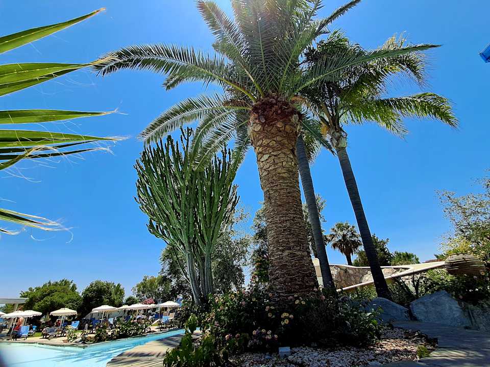 Gartenanlage Hotel Calypso Beach