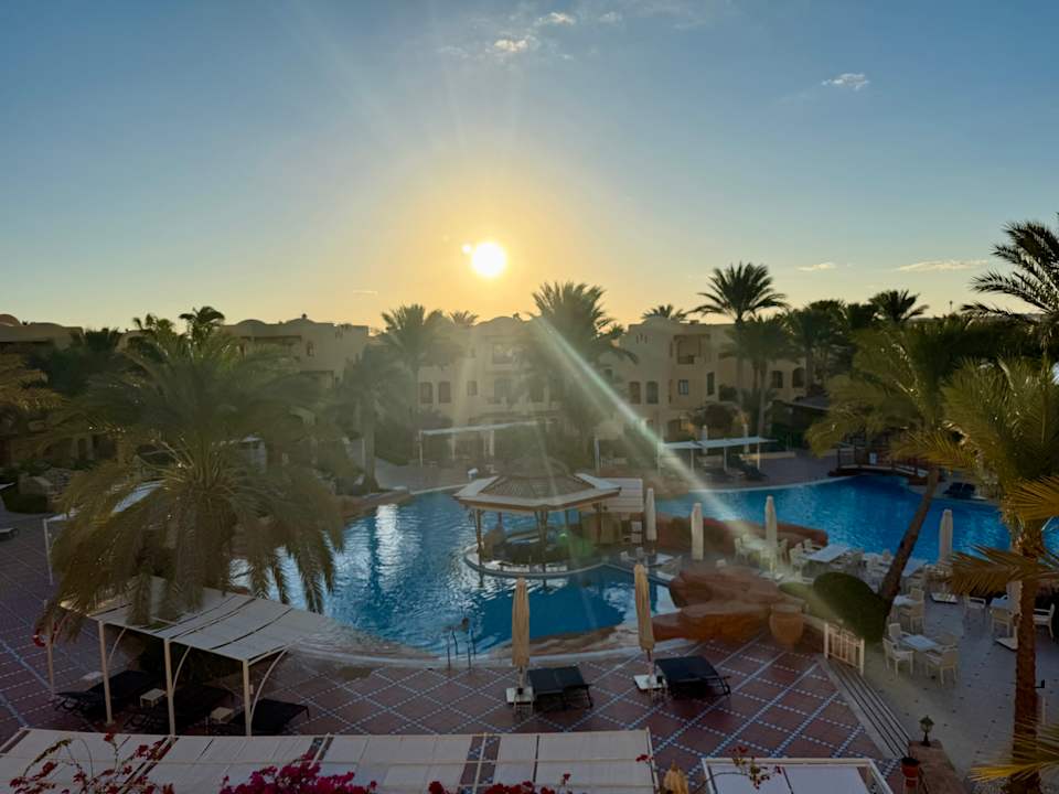 Pool Steigenberger Coraya Beach - Adults only