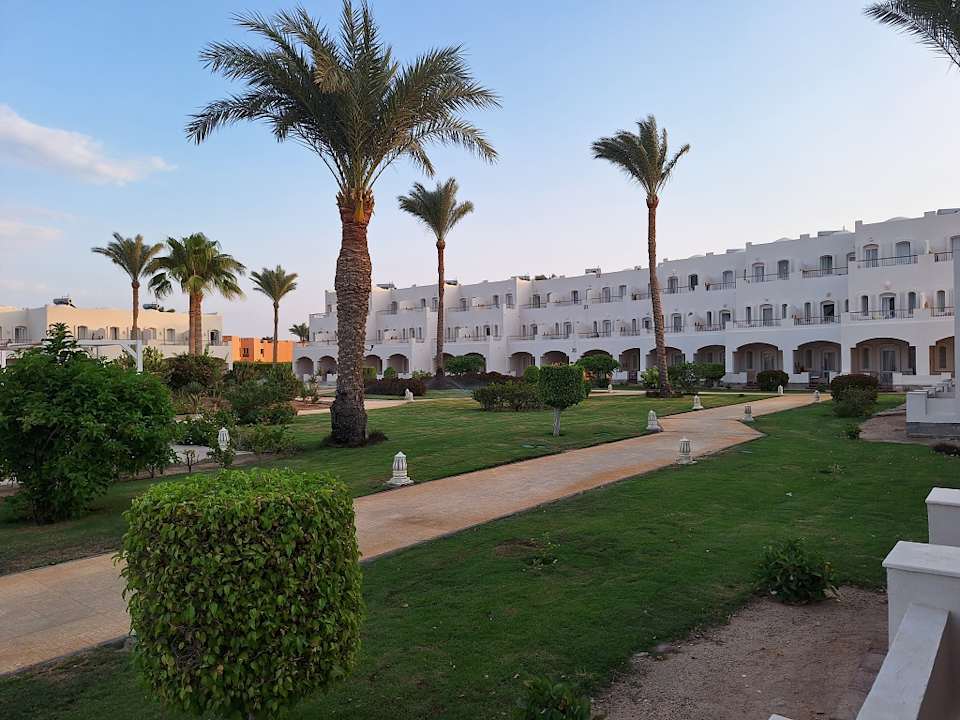 Gartenanlage JAZ Neo Reef Marsa