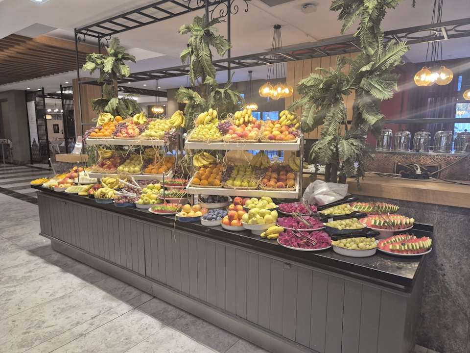 Gastro Seashell Vega