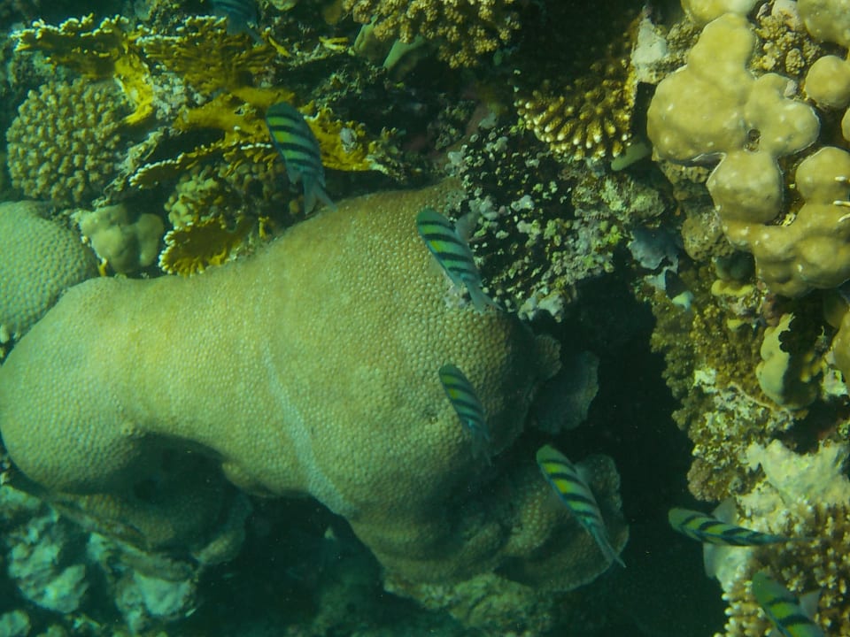 Strand Casa Mare Resort