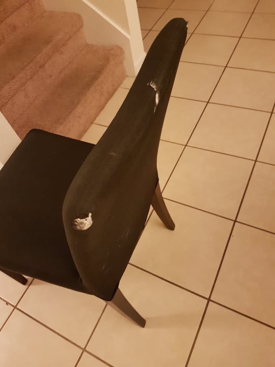 Zimmer Regal Oaks CLC World Resort