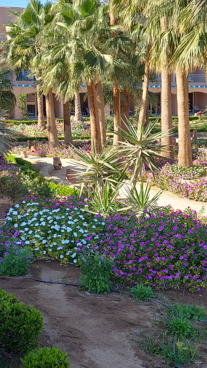 Gartenanlage Club Paradisio El Gouna, Red Sea