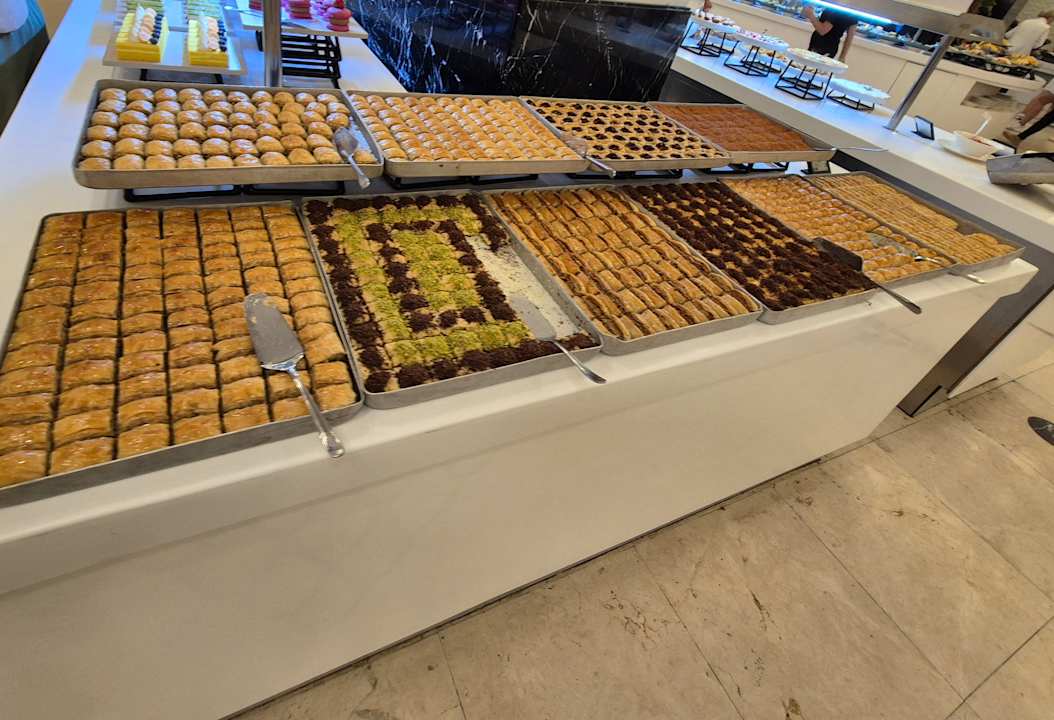 Gastro Adalya Elite Lara