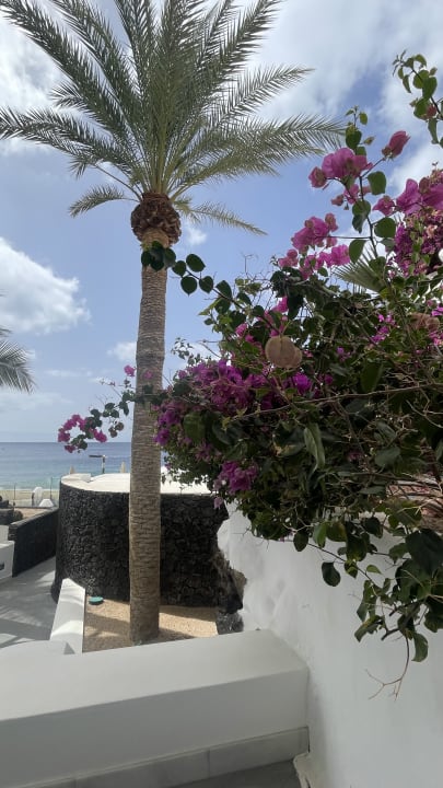 Gartenanlage Hotel Fariones