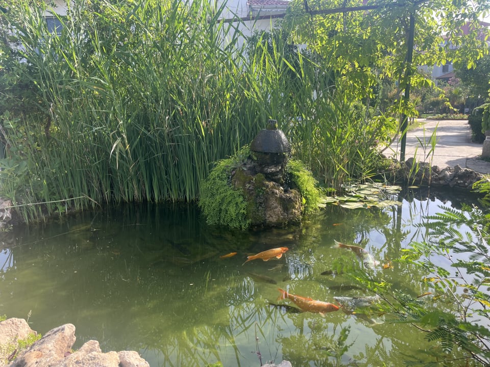 Gartenanlage Belconti Resort Hotel