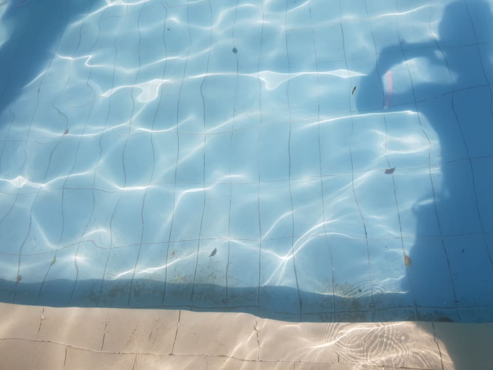 Pool Xanadu Club Makady Bay