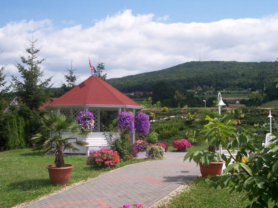 Pool Pavillon Hotel Gasthof Scheer