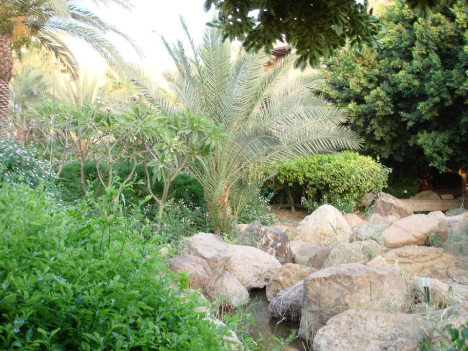 Hotel Mövenpick Mövenpick Resort & Spa Dead Sea