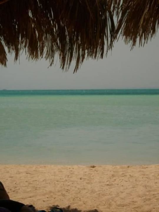 Место которое забыть нельзя   Pickalbatros Alf Leila Wa Leila Resort - Neverland Hurghada