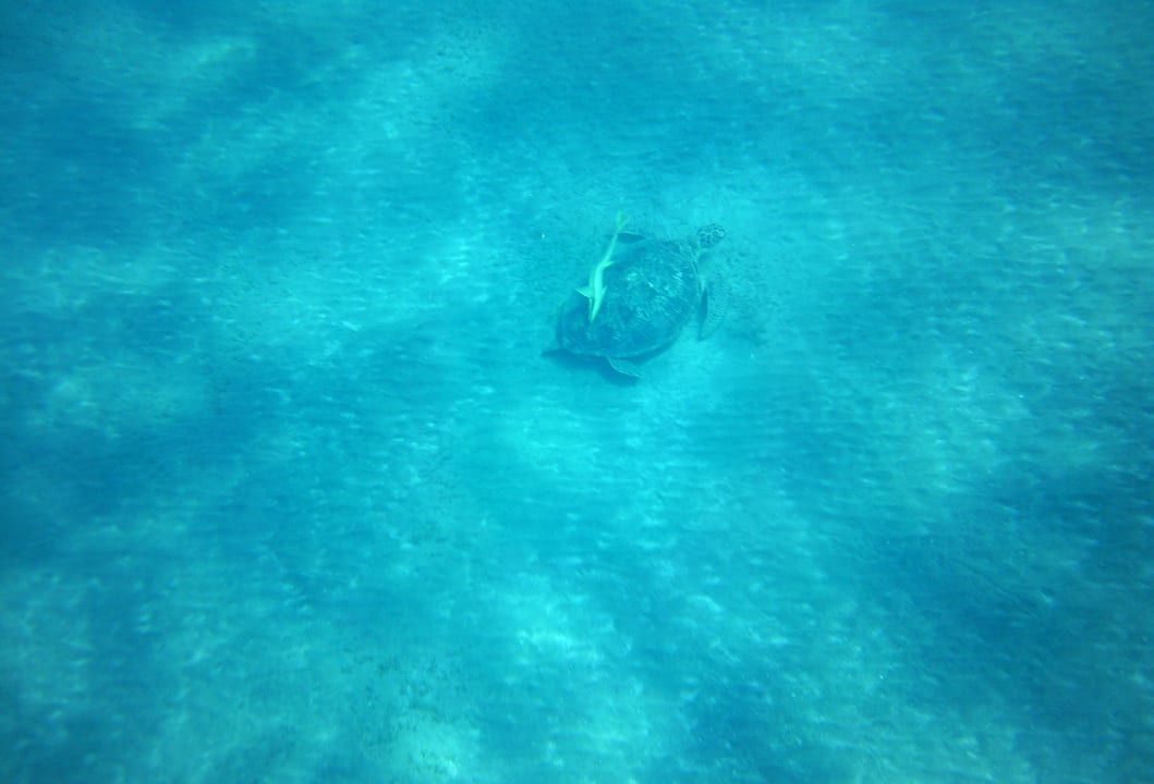 Sport & Freizeit Brayka Bay Resort