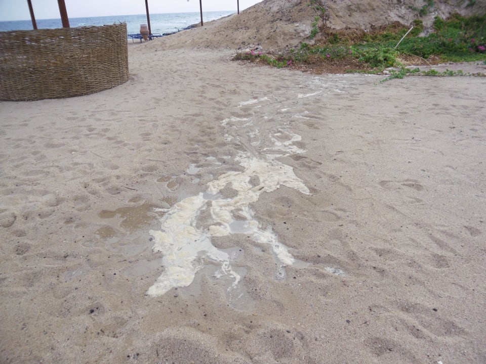 Abwasser am Strand Coral Sun Beach