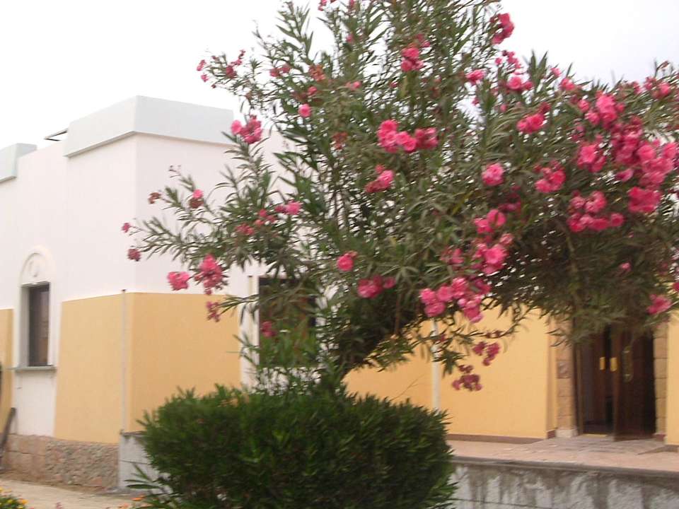 Gartenanlage Mirage Bay Resort & Aqua Park