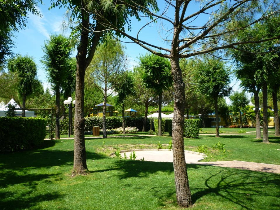 Rosengarten der Poolanlage Sant'Angelo Village