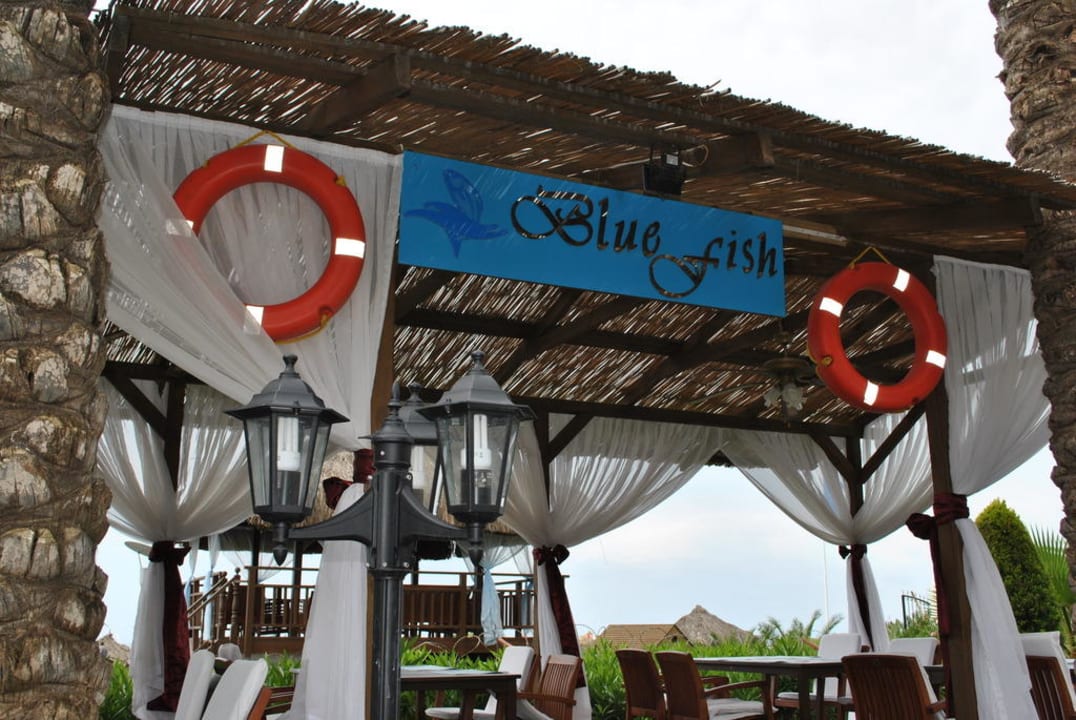 "Blue Fish" Hotel Delphin Diva
