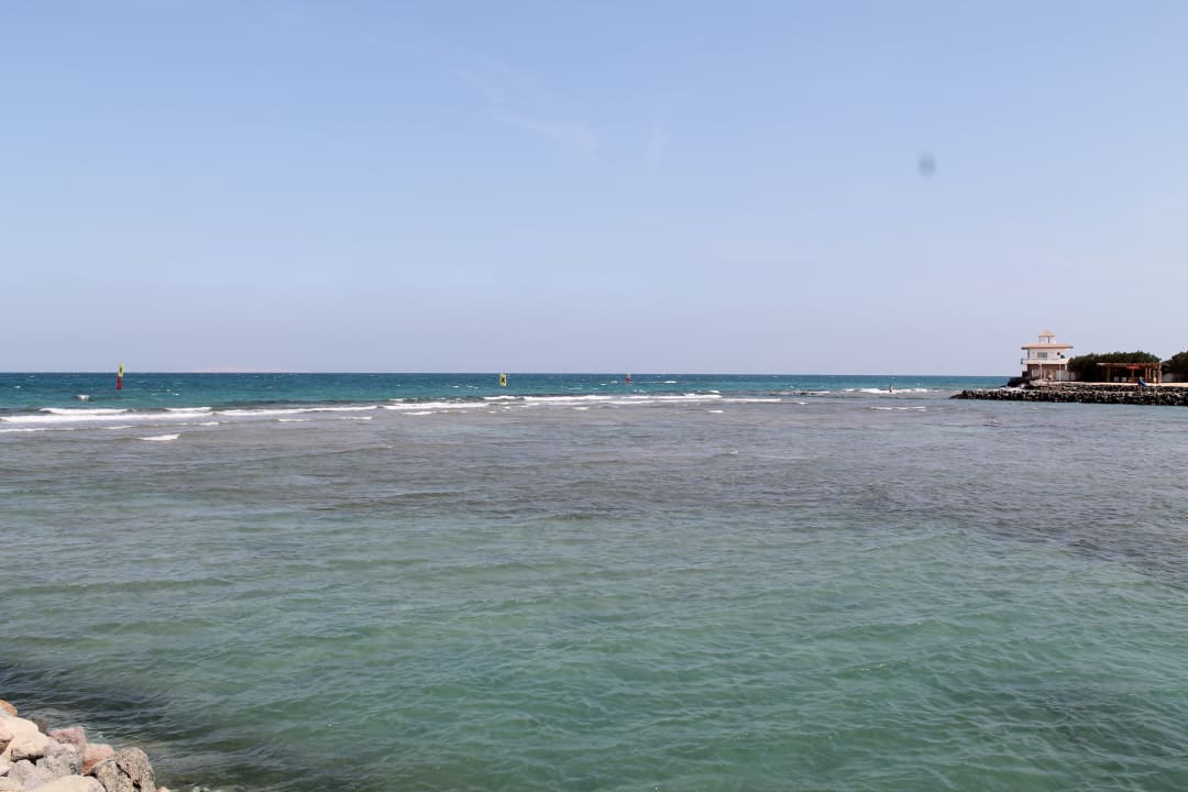 Ausblick Desert Rose