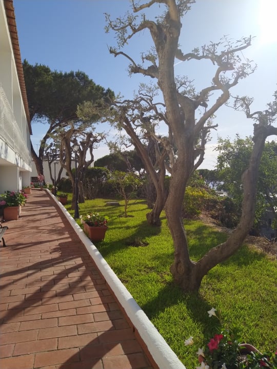 Gartenanlage Hotel Park Imperial Terme