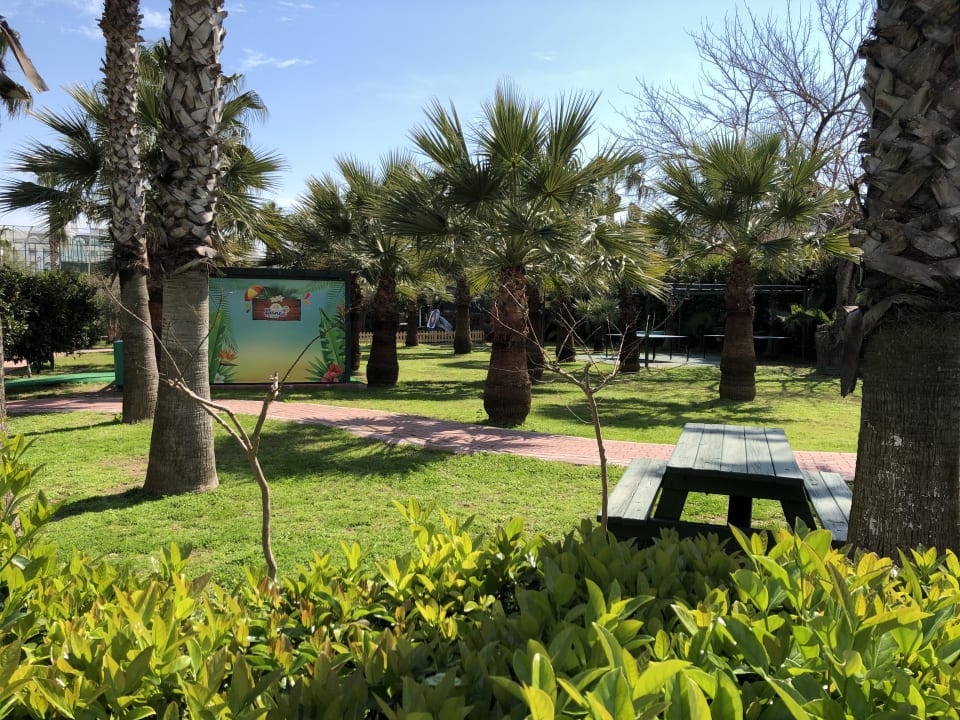 Gartenanlage Hane Family Resort