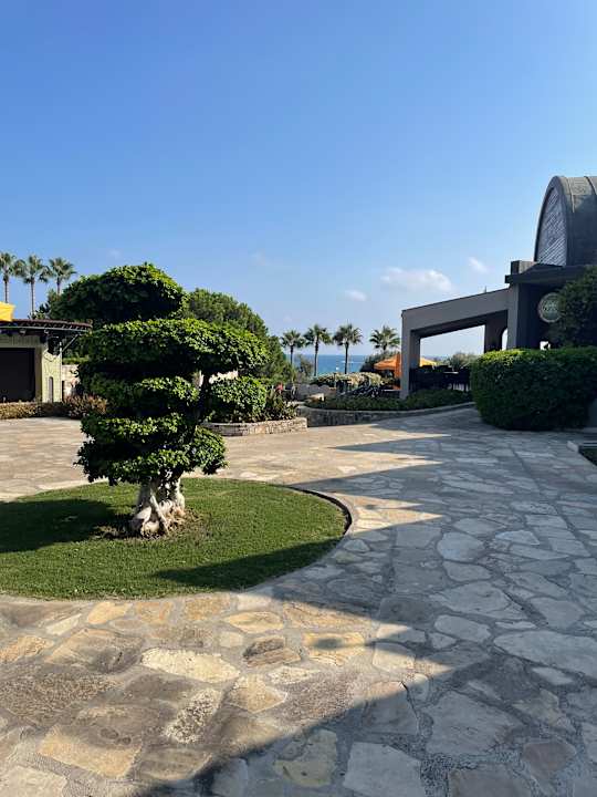 Gartenanlage Arum Barut Collection