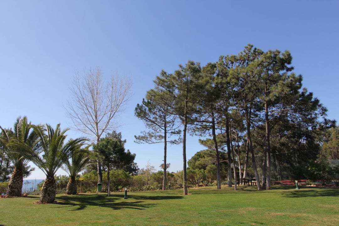 Garten PortoBay Falésia