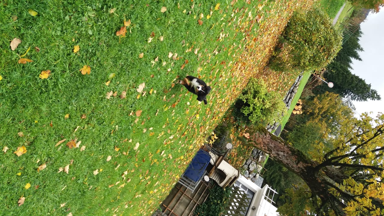 Gartenanlage Ferienhof-Ammann