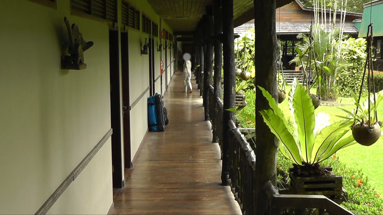 Sonstiges Hotel Sukau Rainforest Lodge